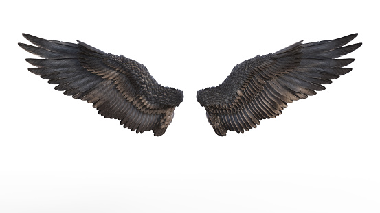 3d Illustration Demon Wings, Black Wing Plumage Isolated on White Background.