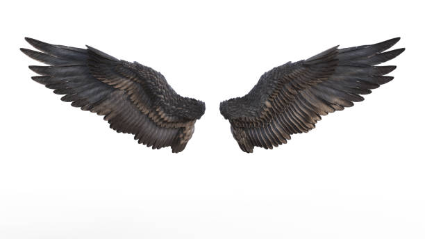 Black Wing 3d Illustration Demon Wings, Black Wing Plumage Isolated on White Background. spread wings stock pictures, royalty-free photos & images