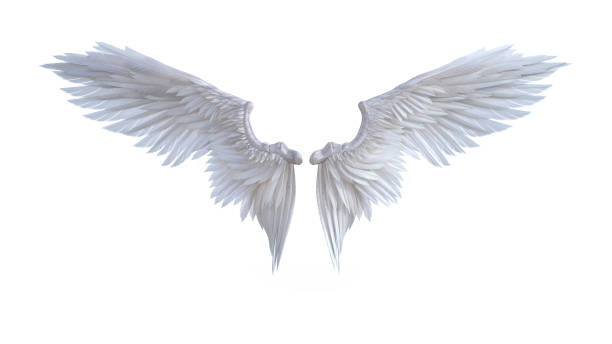 Angel wings stock photo