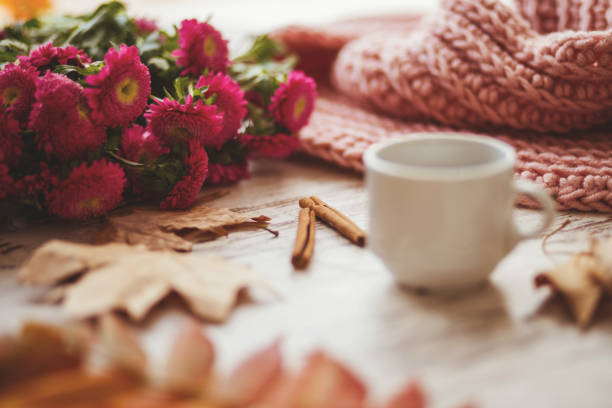 istock Idyllic beginning of the day 875140740