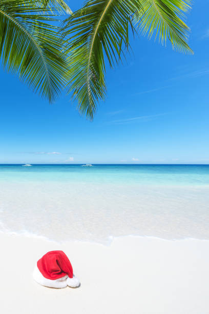 istock Tropical beach christmas vacation concept 875143952