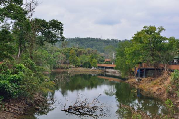 istock Beautiful country & pond 875147642