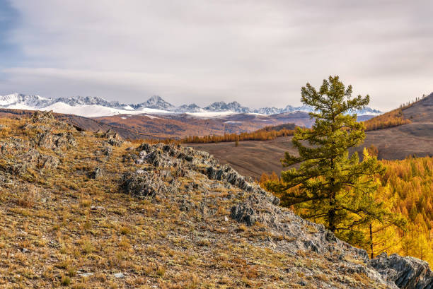 istock mountains trees autumn snow aerial view 875151132