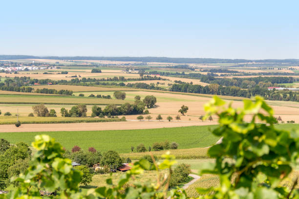 istock winegrowing scenery in Hohenlohe 875153298
