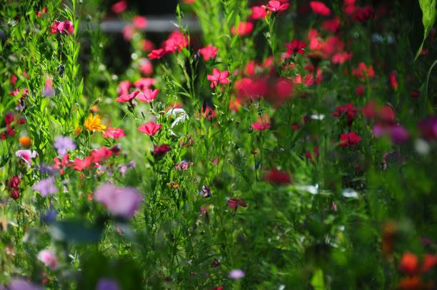 istock Little flowers on dark green background 875160244