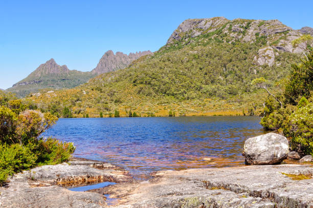 istock Lake Lilla and  Cradle Mountain - Tasmania 875160850