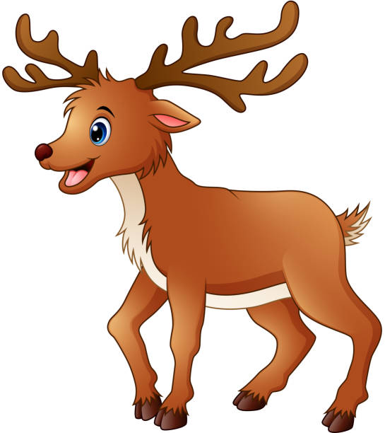 niedliche deer comic  - stag deer doe cartoon stock-grafiken, -clipart, -cartoons und -symbole