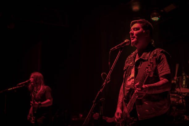 istock Bass guitarist at the microphone 875165718