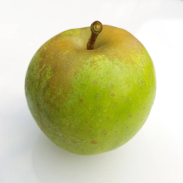 istock Red Starrenette, Heart Apple, malus, domestica 875172924