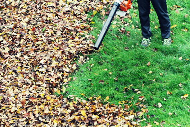 istock Gardener clearing up the leaves using a leaf blower tool 875175816