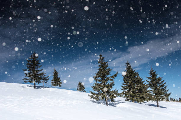 istock Winter landscape with fir trees, snowflakes 875176600