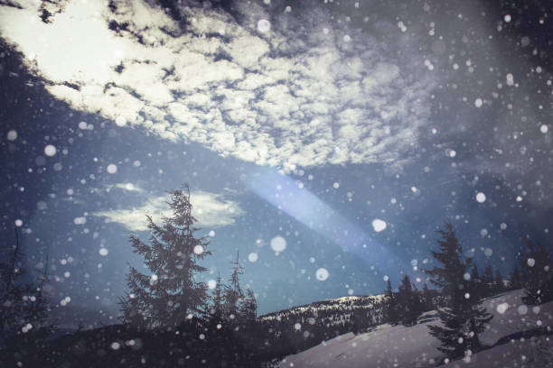 istock Winter landscape with fir trees, snowflakes 875176608