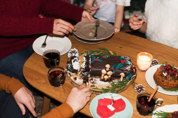 family having a christmas dinner - happy kid flash imagens e fotografias de stock