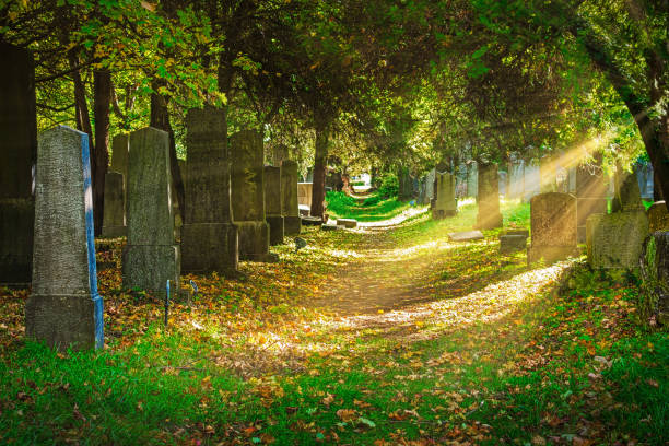istock Cemetery With Sunray In Autumn 875183502