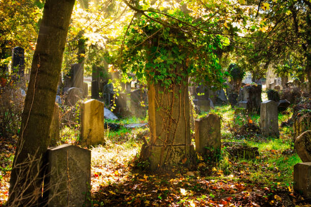 istock Cemetery With Sunray In Autumn 875183680