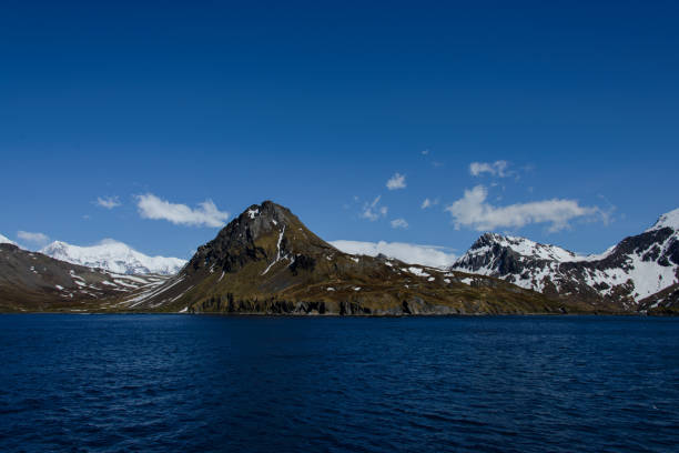 istock South Georgia landscape Ocean Harbour 875186592