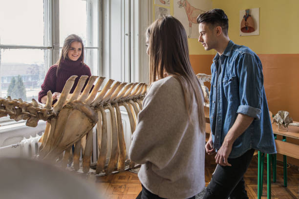 istock Happy high school students learning about animal skeleton in the classroom. 875186696