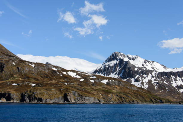 istock South Georgia landscape Ocean Harbour 875186994
