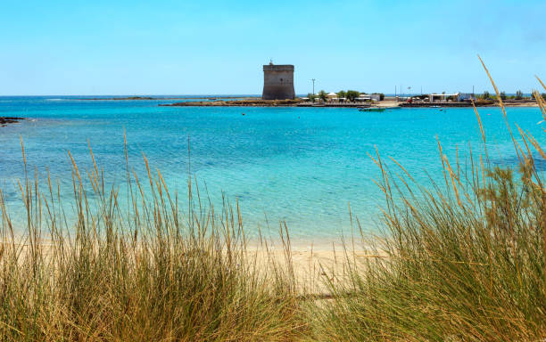 Picturesque Torre Chianca beach and historical fortification tower Torre Chianca (Torre Santo Stefano) on Salento Ionian sea coast, Porto Cesareo, Puglia, Italy