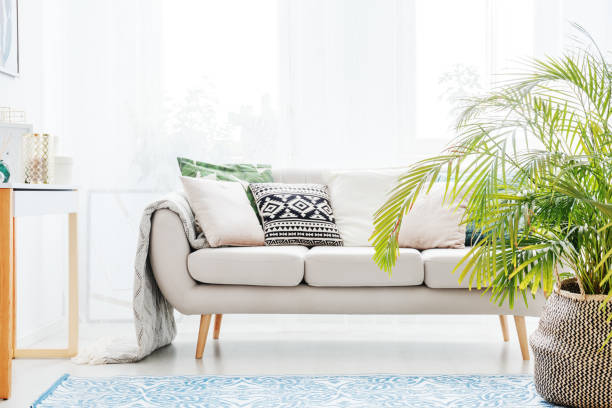 istock Plant in living room 875195714