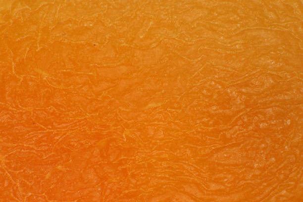 istock Dried Apricot Structure. Warm Nature Organic Background. Macro Closeup. 875198210