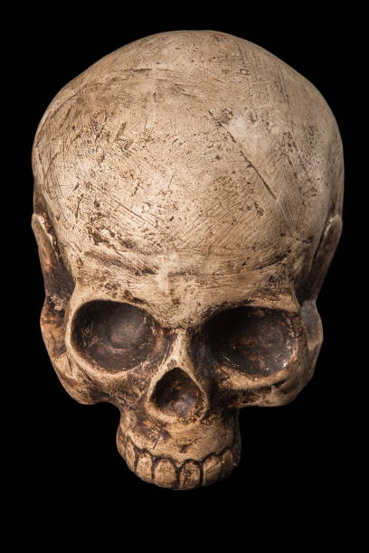 검은색에 뼈 두개골 - sculpture gothic style grave spooky 뉴스 사진 이미지