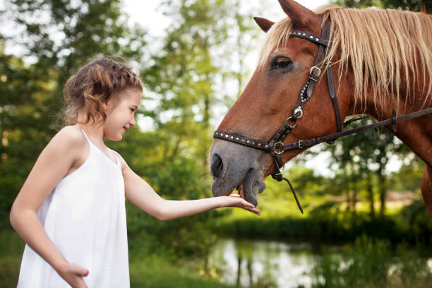 istock Llittle girl is feeding a horse. Summer meadow. 875207146