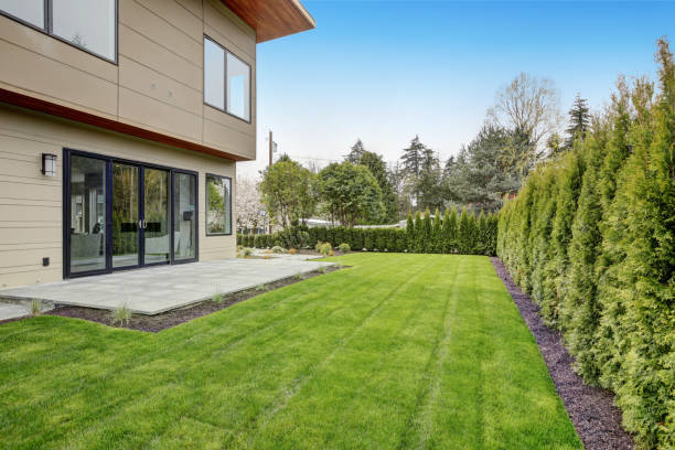 istock Contemporary style home in Bellevue 875216550