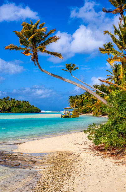 istock Aitutaki Lagoon In The Cook Islands South Pacific 875218178