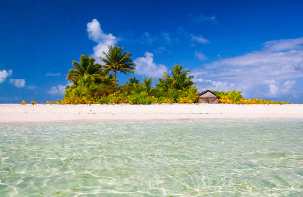 istock Aitutaki Lagoon Desert Island, Cook Islands 875218254
