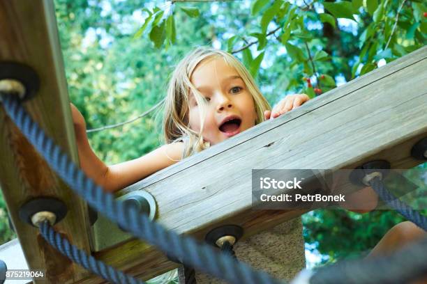 Porträt Eines Schönen Mädchens Auf Einem Seilpark Unter Den Bäumen Stockfoto und mehr Bilder von Kinderspielplatz