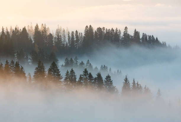 istock Autumn Carpathians, Ukraine. 875221622