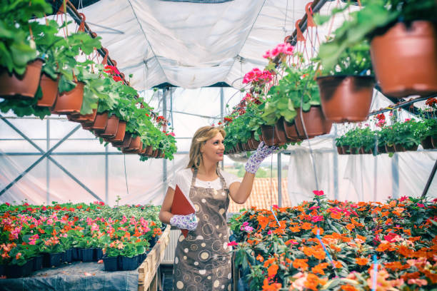 istock Female Florist Working At Garden Center. 875222356