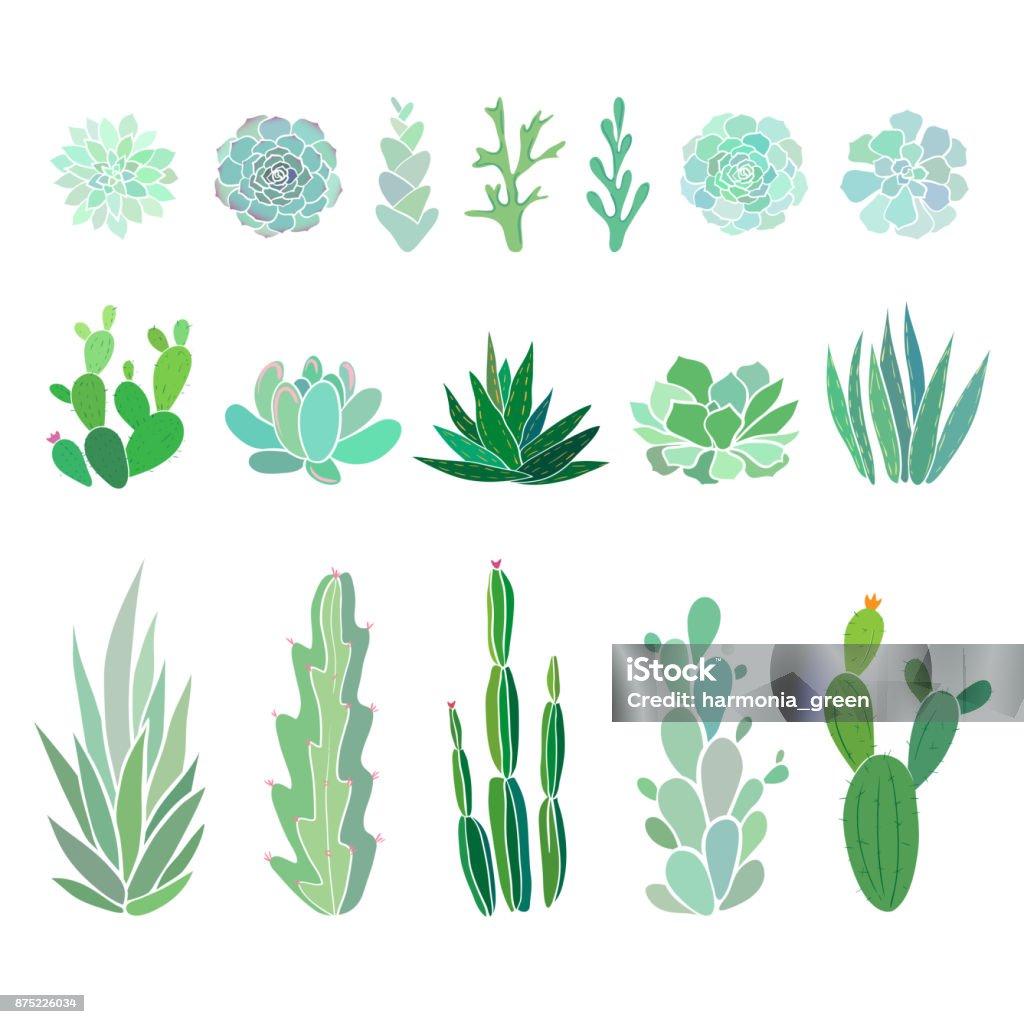 Gran conjunto con cactuses y plantas suculentas - arte vectorial de Planta suculenta libre de derechos