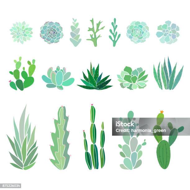 Ilustración de Gran Conjunto Con Cactuses Y Plantas Suculentas y más Vectores Libres de Derechos de Planta suculenta - Planta suculenta, Musgo - Flora, Vector