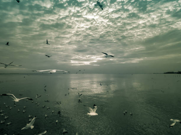 istock Sunset, Last light of a day at a beach in Thailand. 875231020