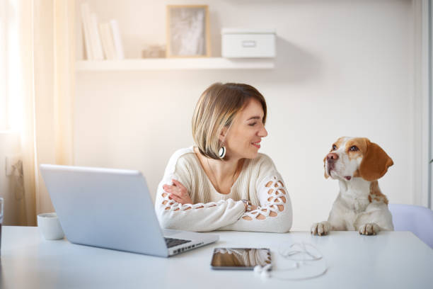 istock Frelancer sitting at home office and watching her dog 875233302
