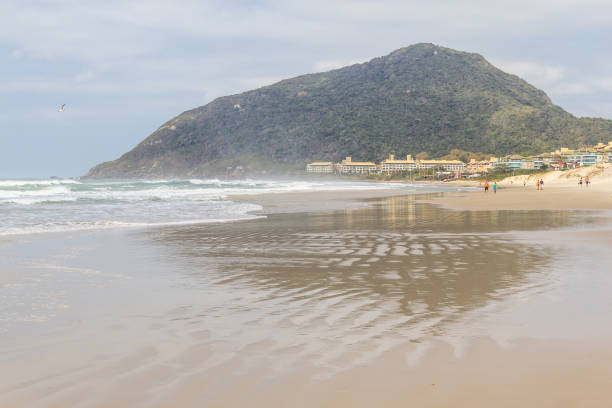 istock Costao do Santinho beach 875236886
