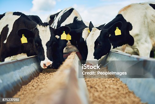 460,147 Animal Feed Stock Photos, Pictures & Royalty-Free Images - iStock |  Farm animal feed, Animal feed pellets, Animal feed mill