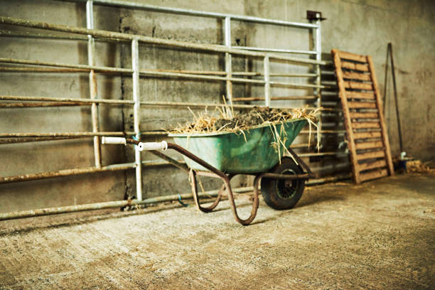 Close-up of cart full of hay stack