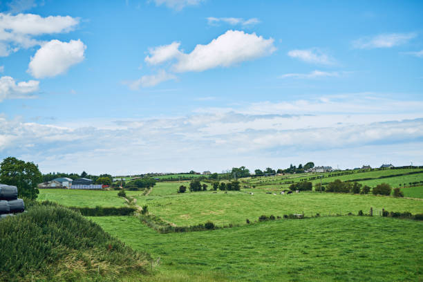 Shot of wide open farmland in the countryside