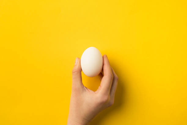 donna che tiene uovo - uovo foto e immagini stock