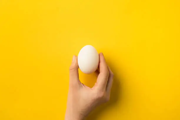 cropped image of woman holding egg isolated on yellow