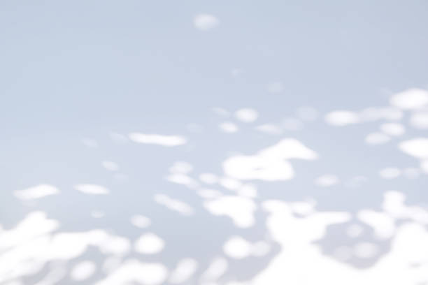 istock shadow of the leaves on a white wall 875246016