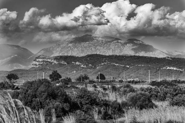 istock bushes mountains and clouds in black and white 875247024
