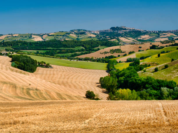 istock Summer landscape near Monterubbiano (Fermo, Marches) 875254822