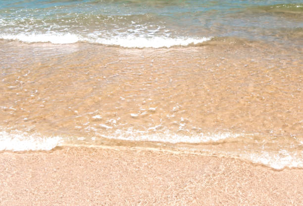istock Bubble of Sea wave on the beach 875255748