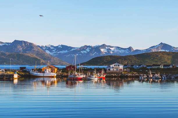 istock beautiful landscape of Norway, background with copy space 875257854