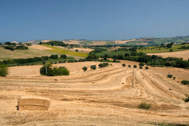 istock Landscape near Sant'Elpidio a Mare (Marches, italy) 875257988