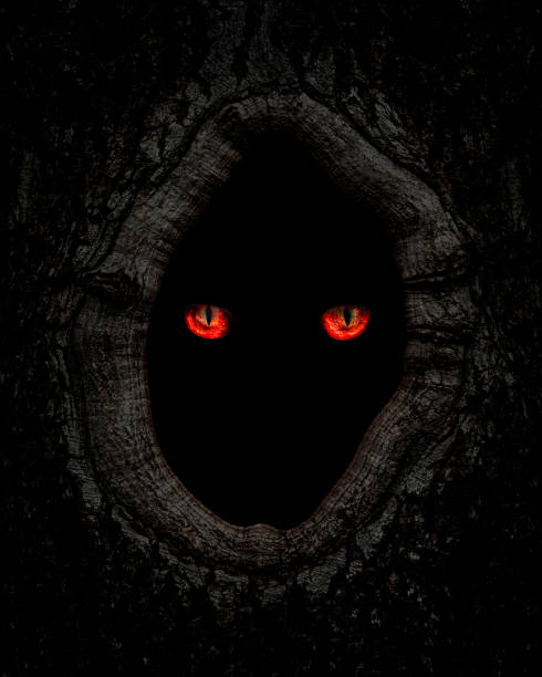 A pair of yellow eyes on a black cat